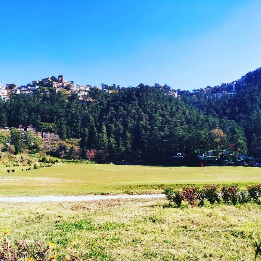 Shimla Pines Homestay Exterior photo